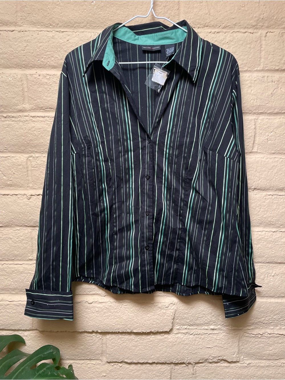 New York & Company Black Button-Down with Mint Green Stripes